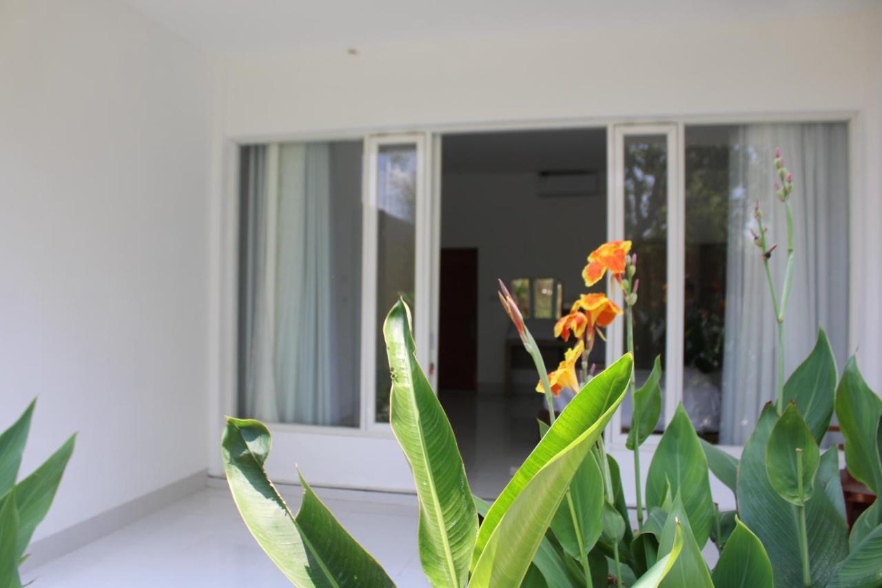 Turtle House Lombok Kuta (Lombok) Exterior foto